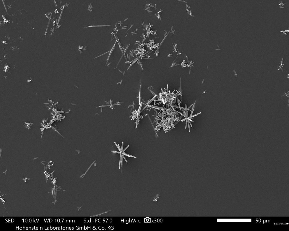 Ranga Yogeshwar überreicht den Gründern der AQON PURE-Wasserbehandlungsanlage den Top100-Award