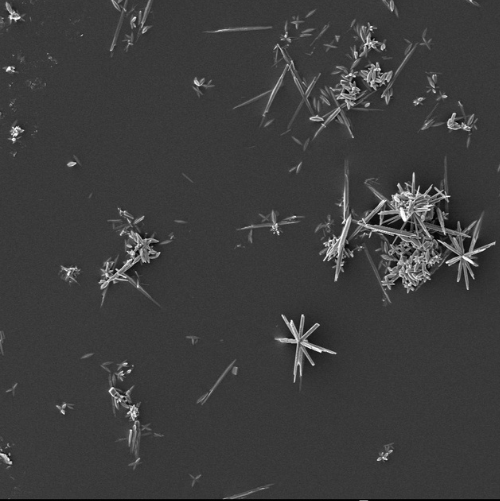 Die Wirkung der Kalkschutzanlagen von AQON PURE ist wissenschaftlich bestätigt